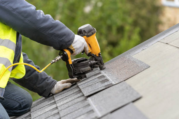 Best Asphalt Shingles Roofing  in New Smyrna Beach, FL